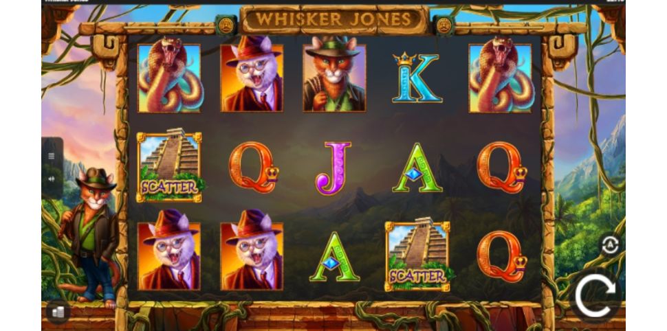 Whisker Jones 