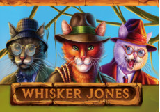 Whisker Jones  Slot by 1X2 Gaming logo