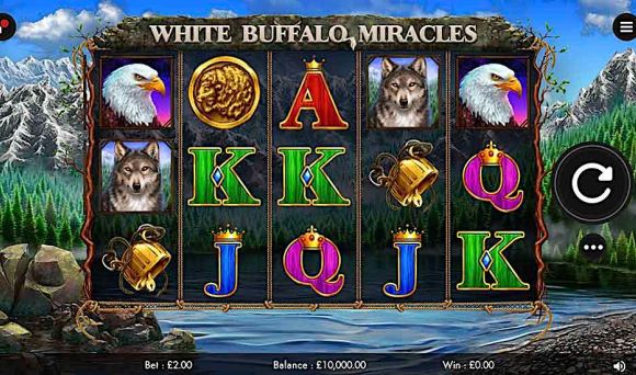 White Buffalo Miracles