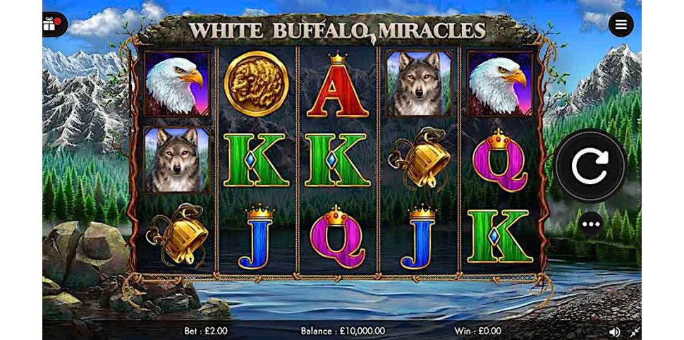 White Buffalo Miracles