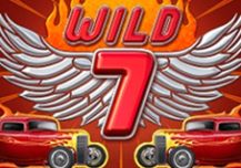 Wild 7
