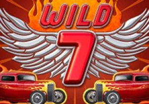 General information about Wild 7 slot