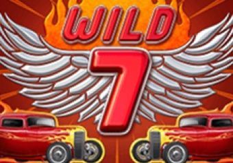 Wild 7 logo