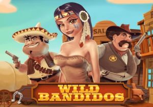 General information about Wild Bandidos slot