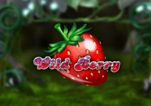 General information about Wild Berry slot