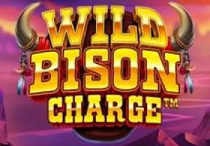 General information about Wild Bison Charge slot