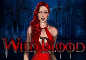 General information about Wild Blood slot