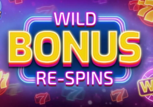 General information about Wild Bonus Re-Spins slot