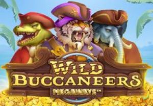 General information about Wild Buccaneers Megaways slot