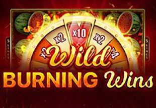 General information about Wild Burning Wins: 5 lines slot