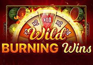 Wild Burning Wins: 5 lines logo