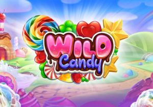 General information about Wild Candy slot