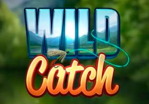 General information about Wild Catch slot