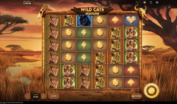 Wild Cats Multiline
