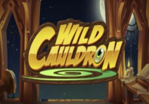 General information about Wild Cauldron slot