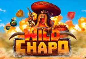 General information about Wild Chapo slot