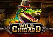 Wild Chicago