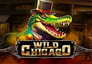 General information about Wild Chicago slot