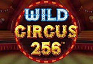 General information about Wild Circus 256 slot