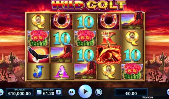 Wild Colt