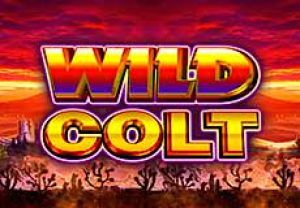 General information about Wild Colt slot