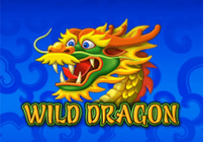 wild dragon free slot