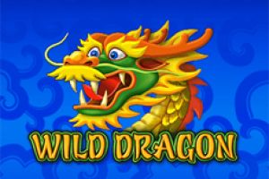 wild dragon amatic free play