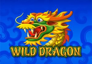 General information about Wild Dragon slot