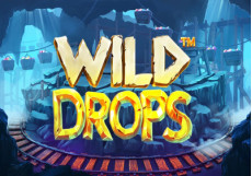 Wild Drops Slot logo