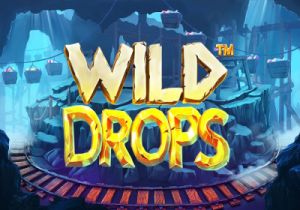 General information about Wild Drops slot