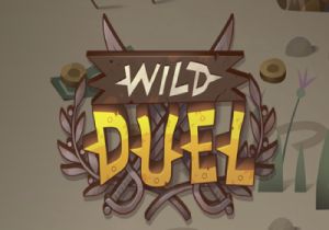 General information about Wild Duel slot