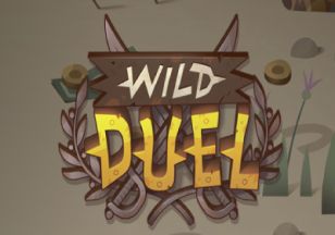General information about Wild Duel slot