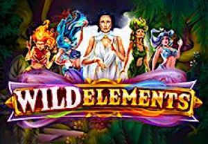 General information about Wild Elements slot