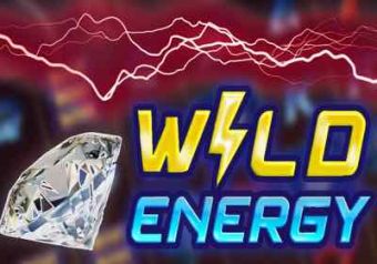 Wild Energy logo