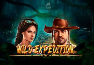 General information about Wild Expedition slot