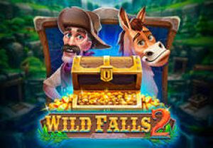 General information about Wild Falls 2 slot