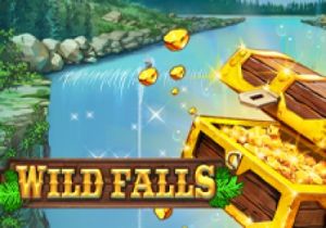 General information about Wild Falls slot