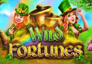 General information about Wild Fortunes slot