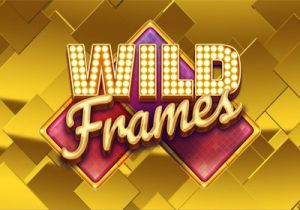 General information about Wild Frames slot