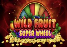 Wild Fruit Super Wheel 