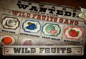 General information about Wild Fruits slot