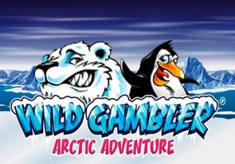 Wild Gambler Arctic Adventure logo