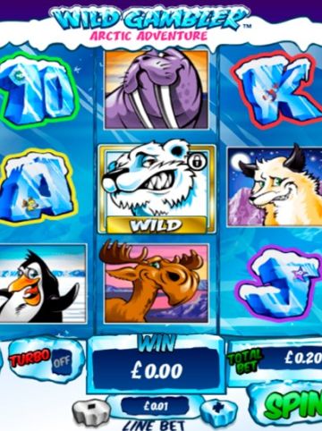 Wild Gambler Arctic Adventure