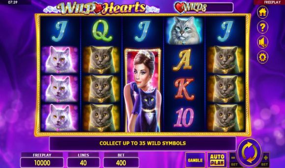 Wild Hearts