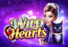 Wild Hearts