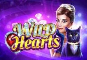 General information about Wild Hearts slot