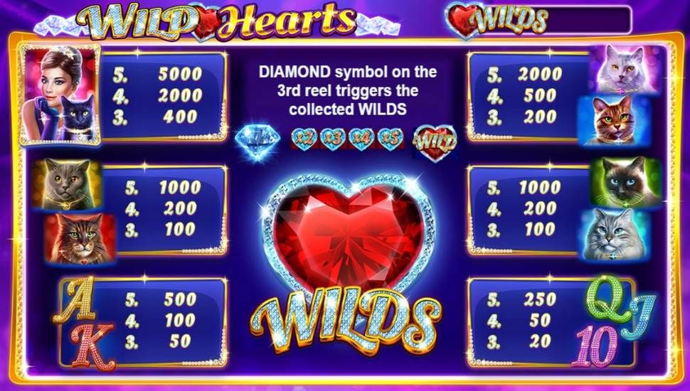 Wild Hearts Slot - Paytable