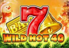 Wild Hot 40 Christmas
