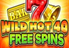 wild-hot-40-free-spins-slot-logo-230x155s