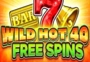 General information about Wild Hot 40 Free Spins slot